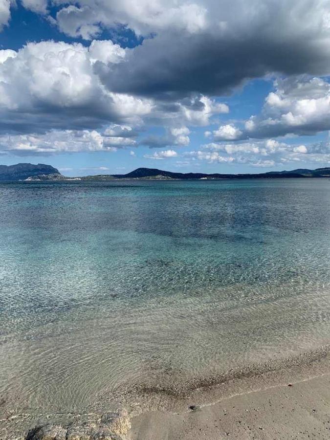Rosa Dei Venti - Casa Maestrale - Sardegna - Iun R2217 Villa Olbia Exteriör bild
