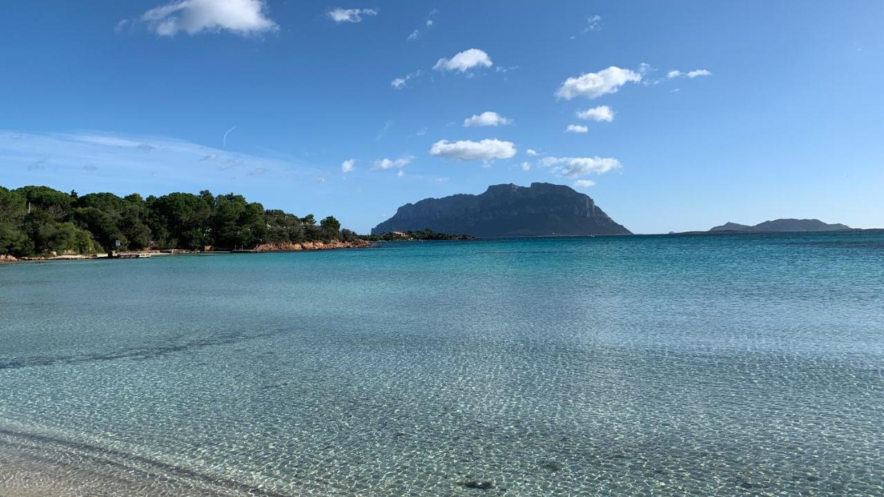 Rosa Dei Venti - Casa Maestrale - Sardegna - Iun R2217 Villa Olbia Exteriör bild